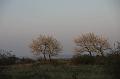 Copy of IMG_0119